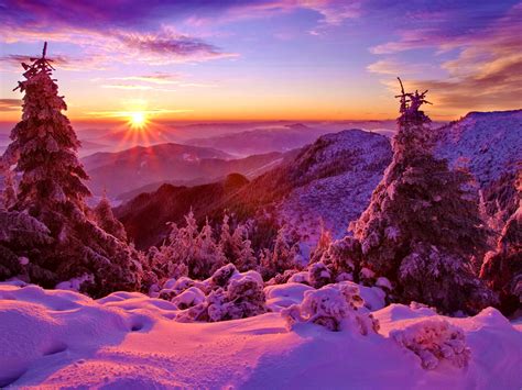 Winter Himmel Sonnenuntergang Berge Wald Bäume Fichte Schnee