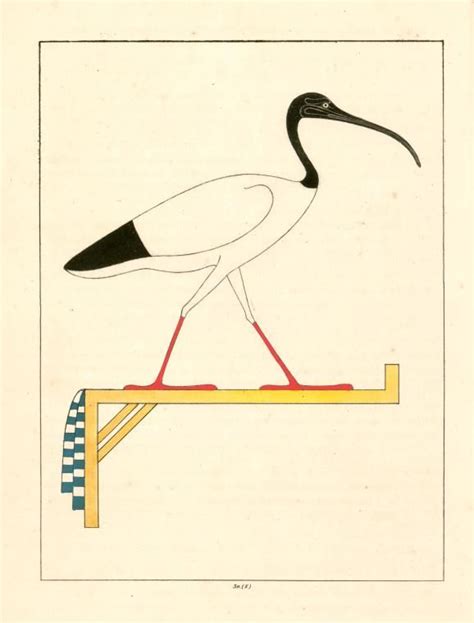 Ancient Egyptian Artifacts Ancient Egypt Art Ancient Symbols Bird Of