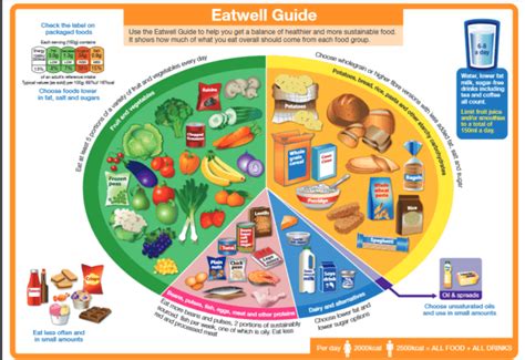Proper Nutritional Dieting For Children And Teenagers By Edwin
