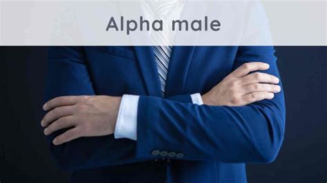 Alpha Male How To Become An Alpha Man Stressapp