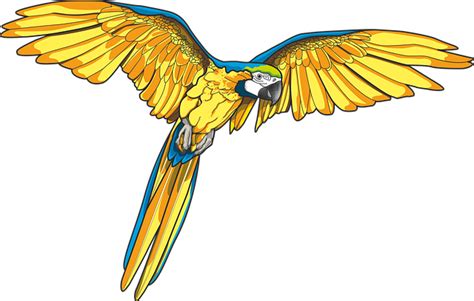 Free Vector Graphic Parrot Ara Bird Free Image On Pixabay 1312197