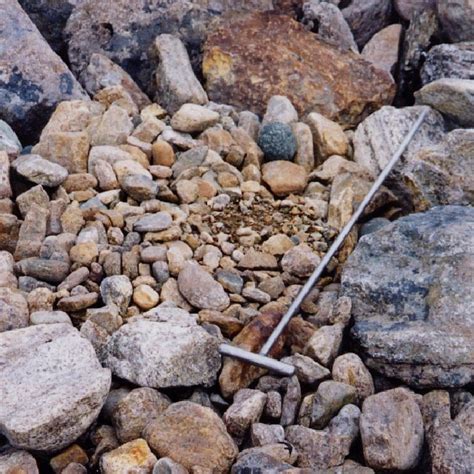 The role of multiple global change factors in driving soil functions and microbial biodiversity, science (2019). (PDF) Environmental Factors Affecting the Occurrence of ...