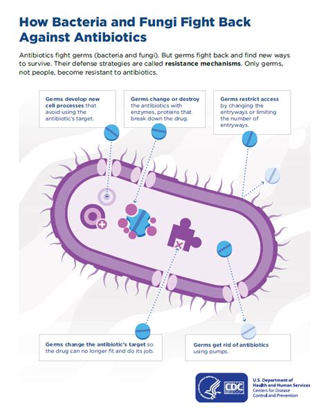 How Antibiotic Resistance Happens Cdc
