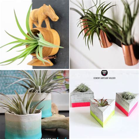 So spending $35 on three containers seemed like a bit much (i paid less for 10 airplants from here!). 25 Easy DIY Air Plant Holder Ideas to Display Air Plants