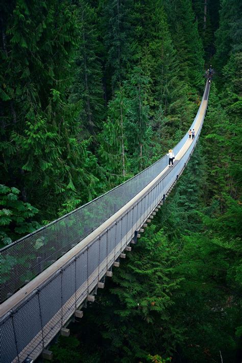 Capilano Suspension Bridge Park Canada Travel Canada Photography