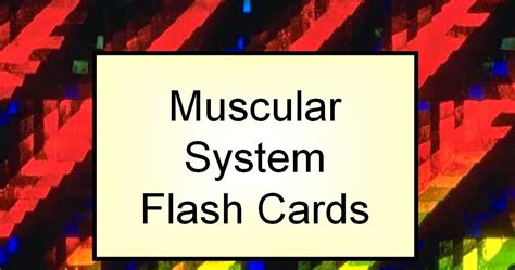 Student Survive 2 Thrive Muscular System Common Word Parts Flash Cards