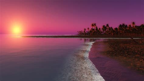배경 화면 햇빛 일몰 바다 물 육지 반사 바닷가 해돋이 저녁 아침 연안 야자수 태양 수평선 황혼