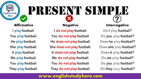 Present Simple Tense Review In English English Study Here