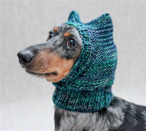 Knitting Pattern Mini Dachshund Dog Hat Small Dog Hat Dog Clothes Dog Clothing Dog