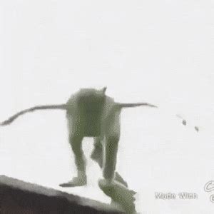 Viimeisimmät twiitit käyttäjältä kermit the frog (@kermitthefrog). Best Kermit Falling GIFs | Gfycat