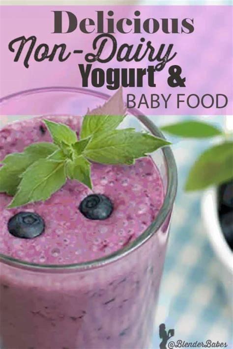 Non Dairy Blueberry Yogurt And Baby Food Recipe Blender Babes