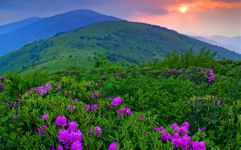 Green Mountains Vermont Pics