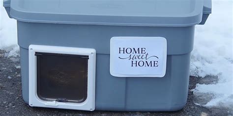 Create Your Own Stray Cat Home To Show Them Some Much Needed Love