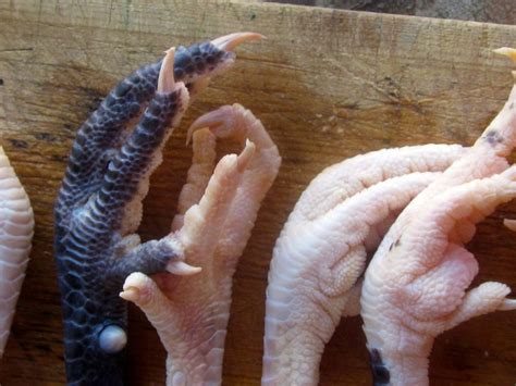 How To Make Excellent Stock Out Of Chicken Feet