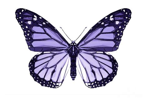 Purple Butterfly Painting By Paul Quarry