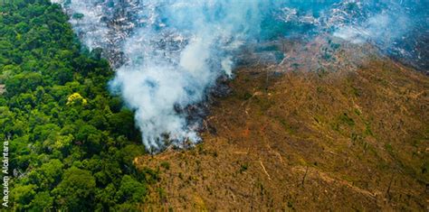 how satellite imagery can halt deforestation amazon aid