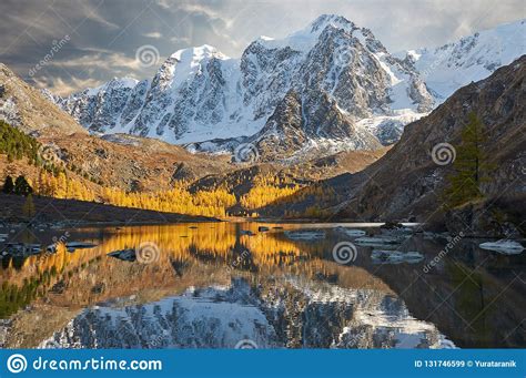 Bright Colorful Yellow Autumn Mountain Lake Russia Siberia Altai