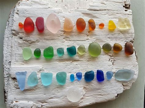 Sea Glass Collection Ocean Life Glass Collection Sea Glass Navy Life