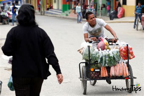 Los Hondureños Son Personas Trabajadora