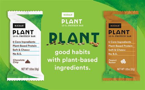 Rxbar Plant Protein Bar Chocolate Chip Gluten Free