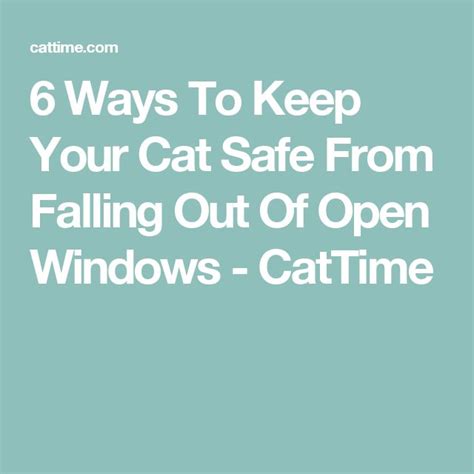 6 Ways To Keep Your Cat Safe From Falling Out Of Open Windows Cattime
