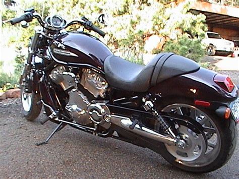 2005 Harley Davidson Vrscb V Rod Motozombdrivecom