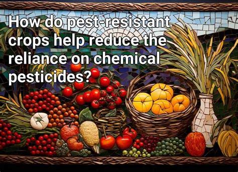 How Do Pest Resistant Crops Help Reduce The Reliance On Chemical