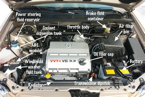Under The Hood Of A Car Labeled Diagram