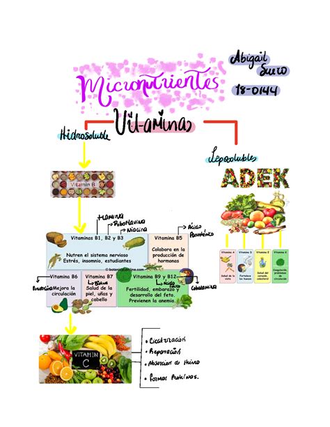 Solution Esquema De Micronutrientes Studypool