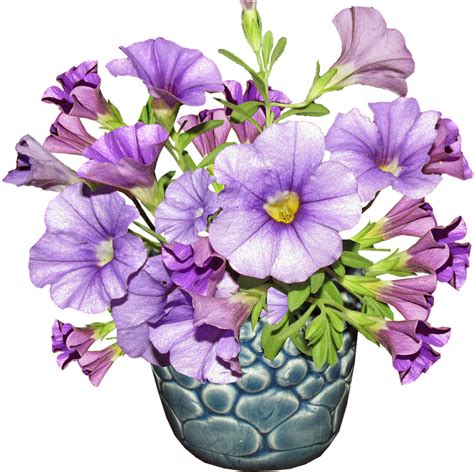 Flower Vase Arrangement Bouquet Free Transparent Png Download