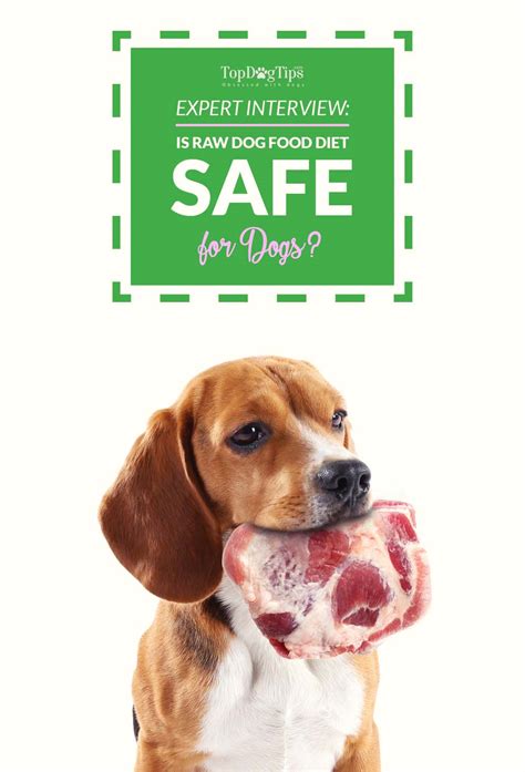 If you're mulling over swapping your pooch to a raw food diet, it can be helpful to chat it through with your vet, who will be able to offer advice and guidance on whether this is. Expert Interview: Is Raw Dog Food Diet Safe for Dogs?