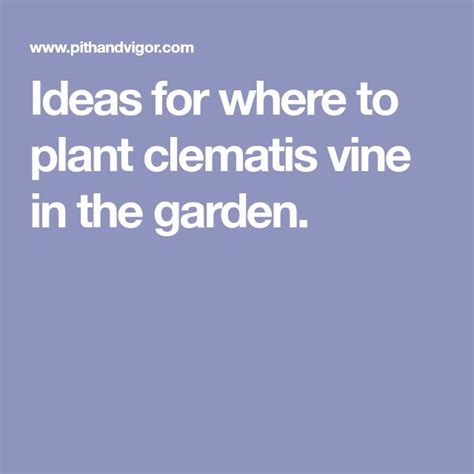 16 Garden Ideas How To Place Plant And Grow A Clematis Vine