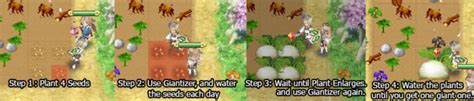 Players can build up their farm, craft new equipment. Basic Gameplay - Rune Factory 4 Walkthrough - Neoseeker