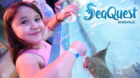 Seaquest Roseville Mn 36 Discount Deals