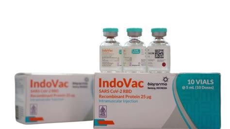 Vaksin Indovac Bio Farma Digunakan Sebagai Booster Vaksin Primer Pfizer