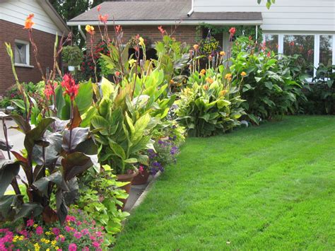 Growing Cannas How To Add Soaring Foliage Beauty Blooms To Your Yard