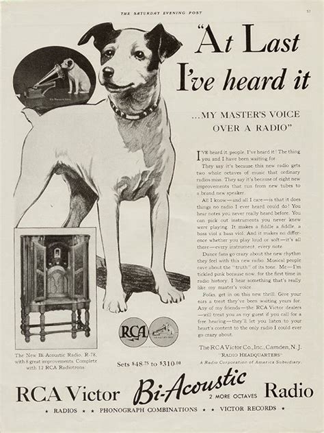 Vintage Dog Images In Magazine Advertisements I Antique Online