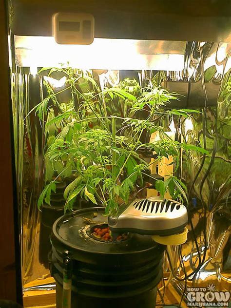 Diy Grow Light Box 12 Diy Grow Tent Ideas For Indoor Gardeners