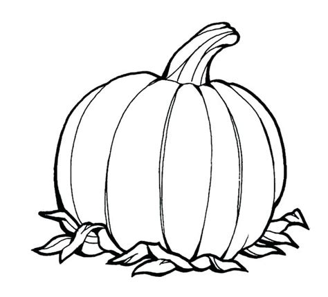Five Little Pumpkins Coloring Page at GetColorings.com | Free printable