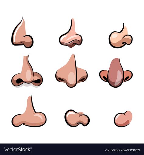 Nose Cartoon Set For Character Animation Vector Image