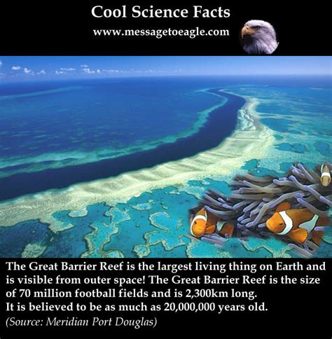 What Is The Largest Living Structure On Earth