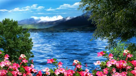 Free Photo Flower And Lake Flower Lake Nature Free Download Jooinn
