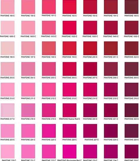 Pink Pantone Chart Color Pinterest Pantone Color Charts And Search