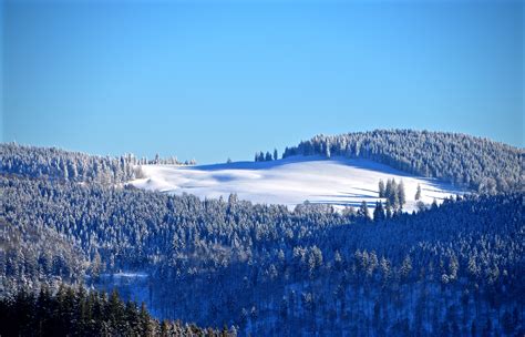 Winter Forest 4k Wallpaper Snow Trees Hill Sky View Clear Sky Blue Sky Nature 2053