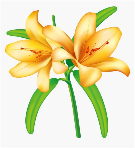 Easter Lily Clip Art Yellow Transparent Flowers Png Png Download