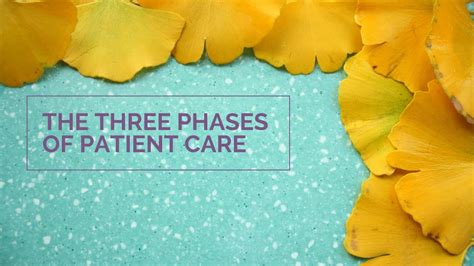 The Three Phases Of Care Youtube
