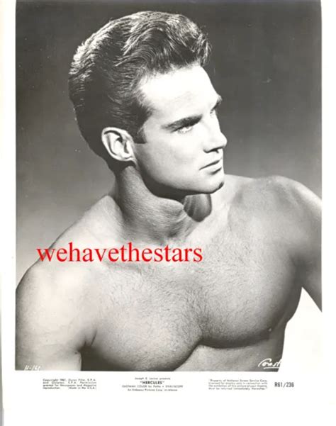 Vintage Steve Reeves Beefcake Muscle Handsome 50s Hercules Publicity