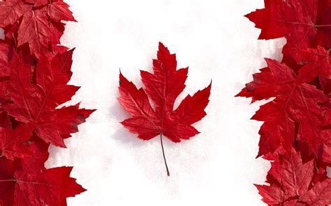 Flag Of Canada Image Id 283656 Image Abyss