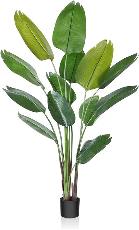 Home And Garden Artificial Plant Paradise Palm Silk Tree 6 Ft Home Office Decor Classic Style Home
