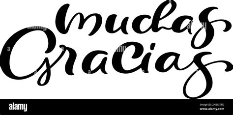 Thank You Vector Lettering Text In Spanish Muchas Gracias Hand Drawn Phrase Handwritten Modern